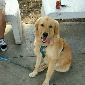 Meet your Posher, Teresa